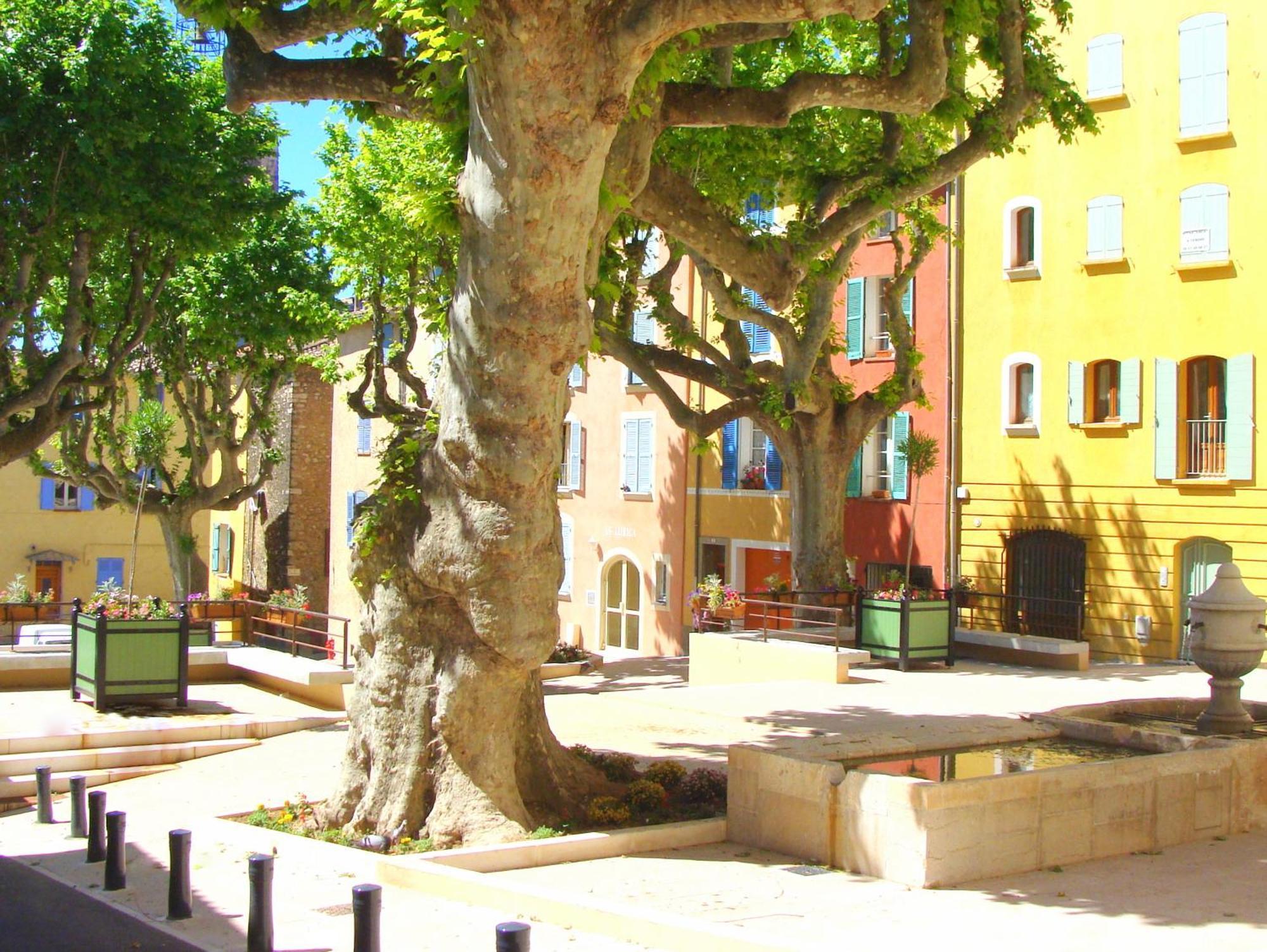 Entre Saint-tropez Et Les Gorges Du Verdon. Appartement